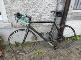 Carbon Rennvelo – Shimano Ultegra – Ritchey – Selle Italia