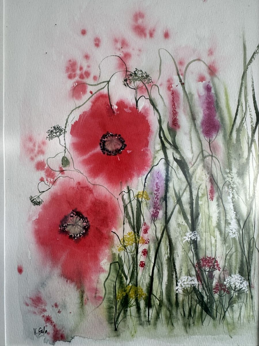 Dipinti: Aquarell ,,Mohnblumen,,Unikat – Usato da Lanzenhäusern venduto da Galaa