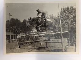 Foto concours hippique 1930 luzern Offizier auf Pferd