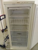 tiefkühler Marke gorenje 