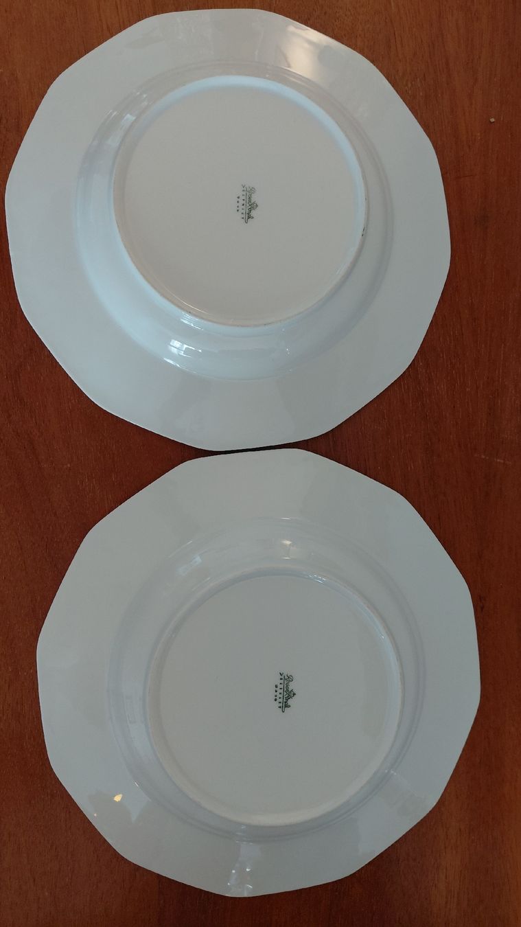 Rosenthal Piatti: Rosenthal, Maria bunt, 2 Suppenteller – Usato da Pratval venduto da AdK 1
