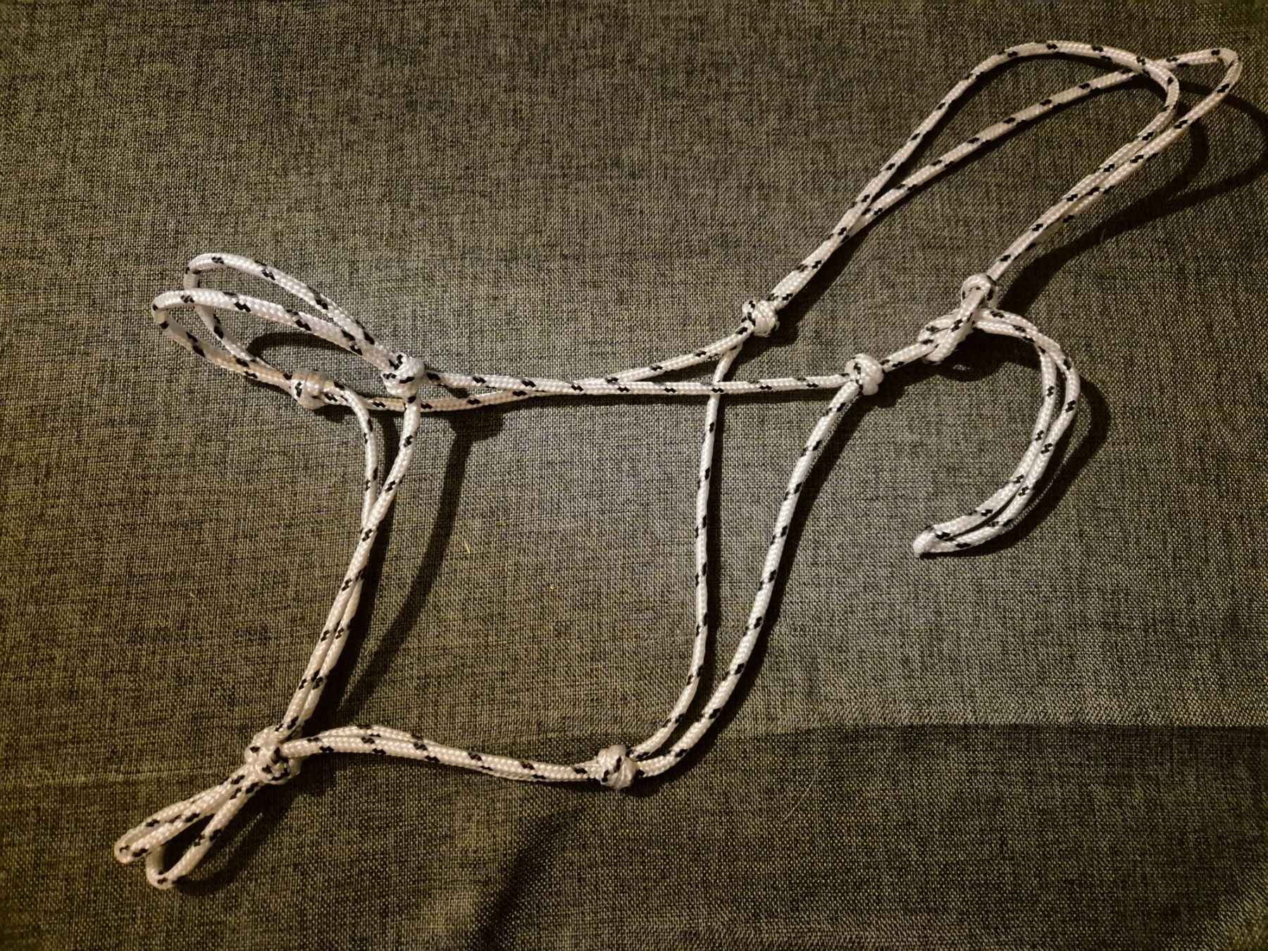 Briglie & Cavezze: Knotenhalfter Cob – Nuovo (secondo la descrizione) da Meggen venduto da Orrinka20