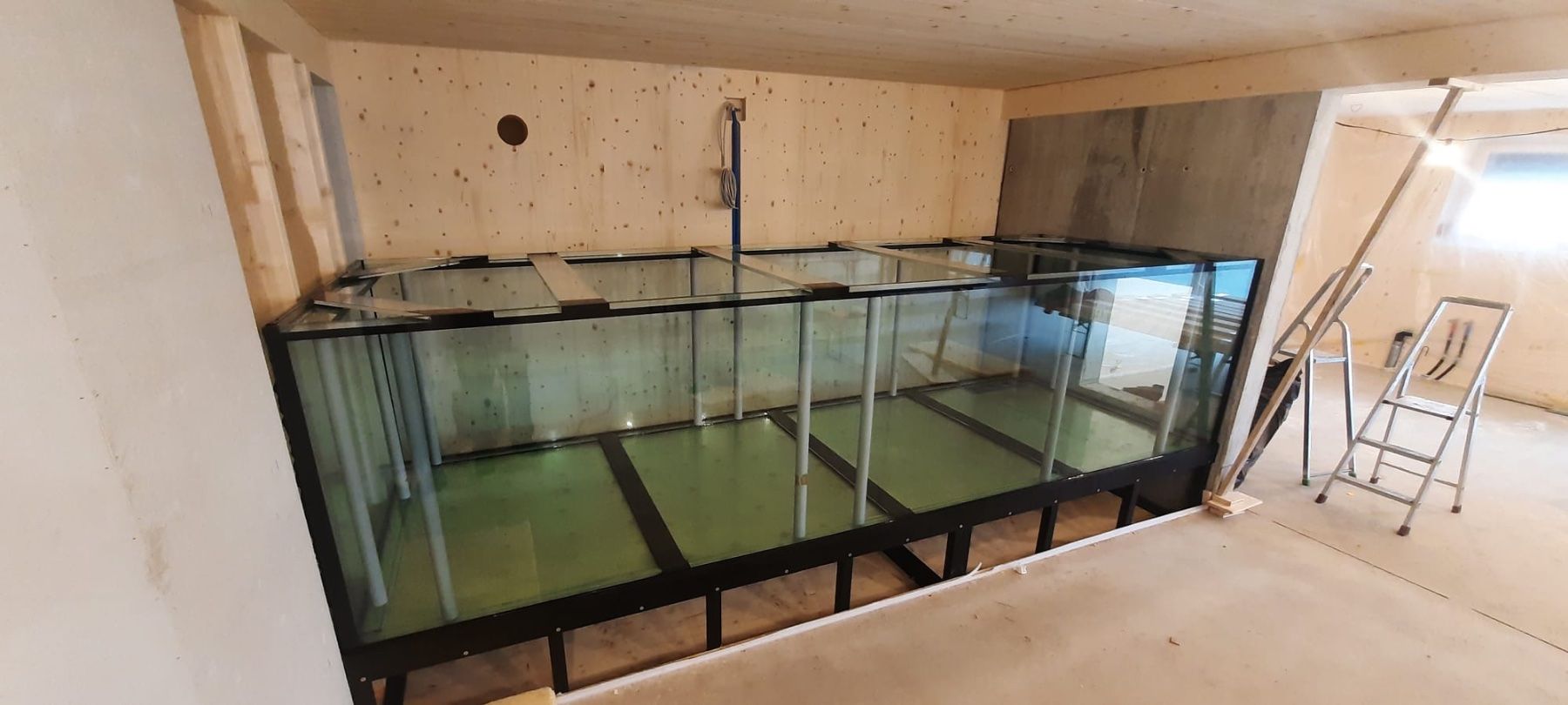Acquari: Aquarium Vor-Ort-Verklebung – Nuovo (secondo la descrizione) da Berikon venduto da fischundart 1