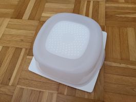 Käseglocke (Tupperware) neu