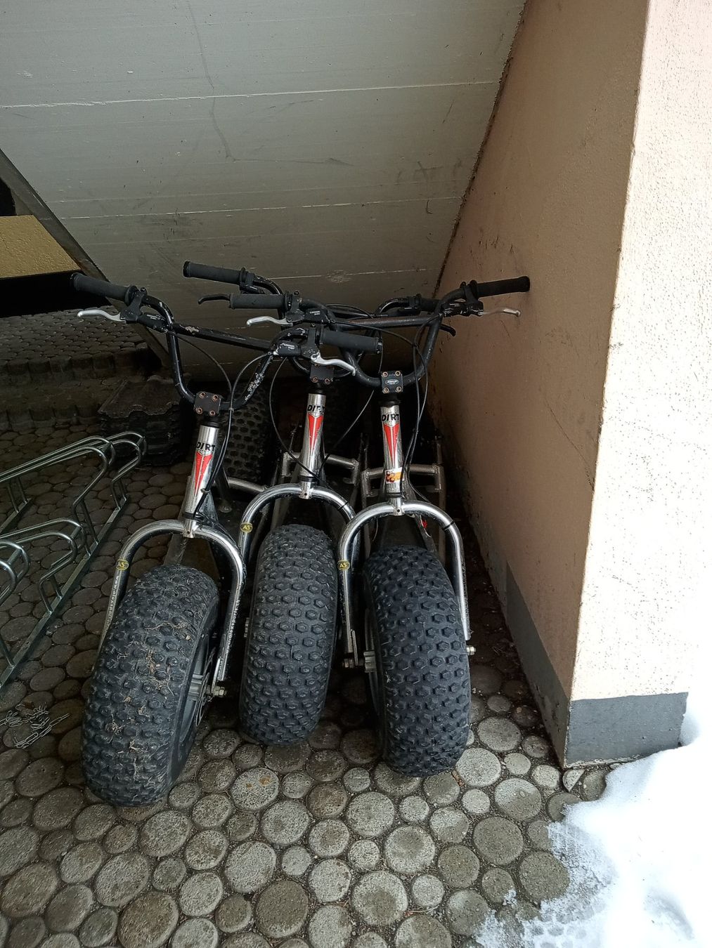 Biciclette: Trottinette de descente Monster – Usato da Moléson-sur-Gruyères venduto da gnatz