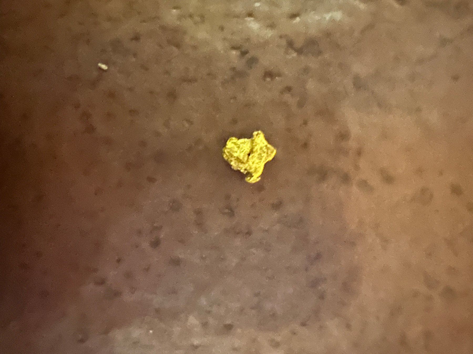 Metalli preziosi: Goldnugget aus Australien 7mm – Nuovo (secondo la descrizione) da rafz venduto da Ttt0071 1