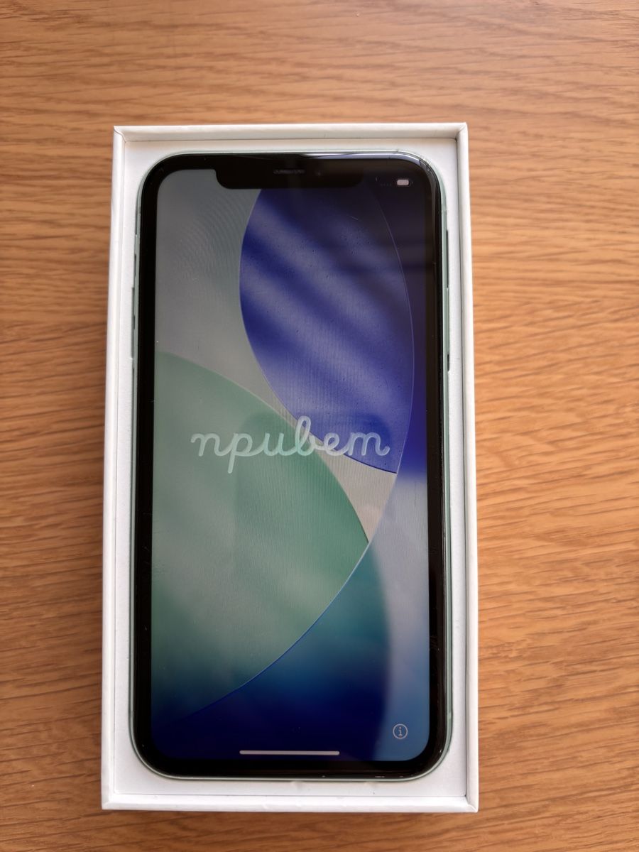 Apple Portables: iPhone 11 green, 128 GB – D'occasion à Roggwil BE par Hammer_21
