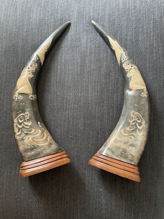 Cornes De Buffle Ref Wedico 429