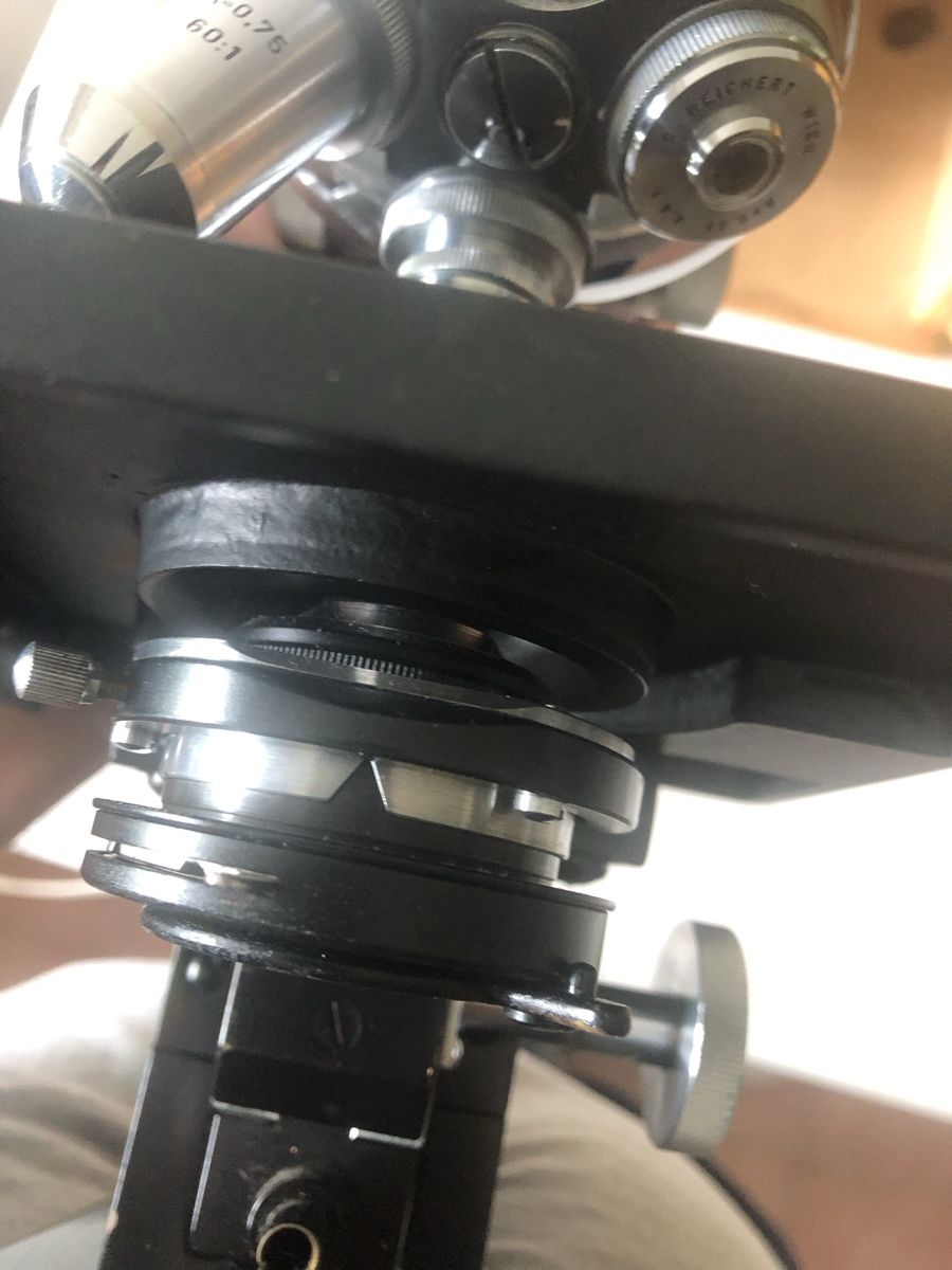 Microscopes: Microscope vintage – D'occasion à petit lancy par FerreiraLuis 6