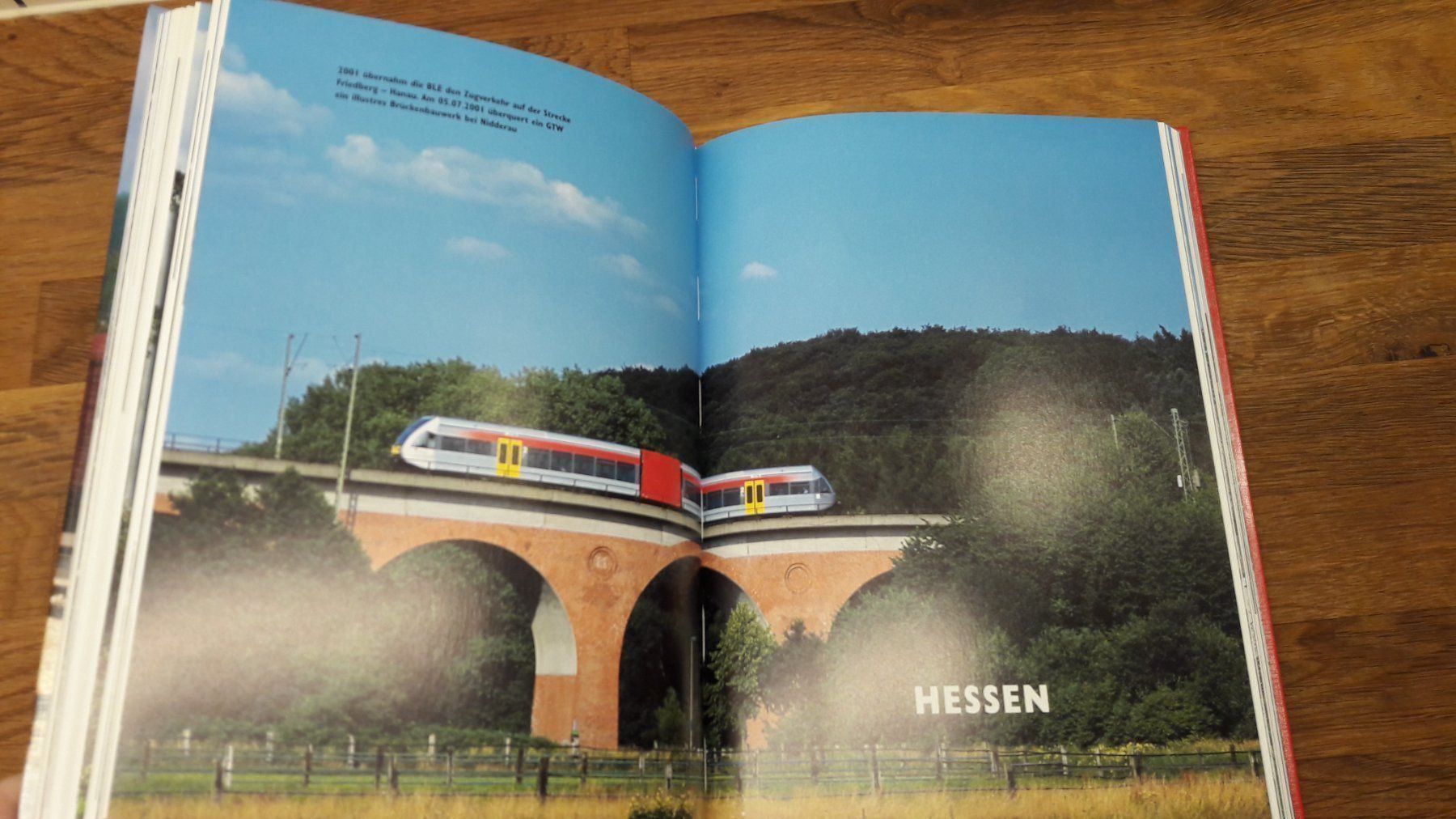 Libri: Buch : Lexikon Deutscher Privatbahnen – Usato da Buttes venduto da Cafe2005 3