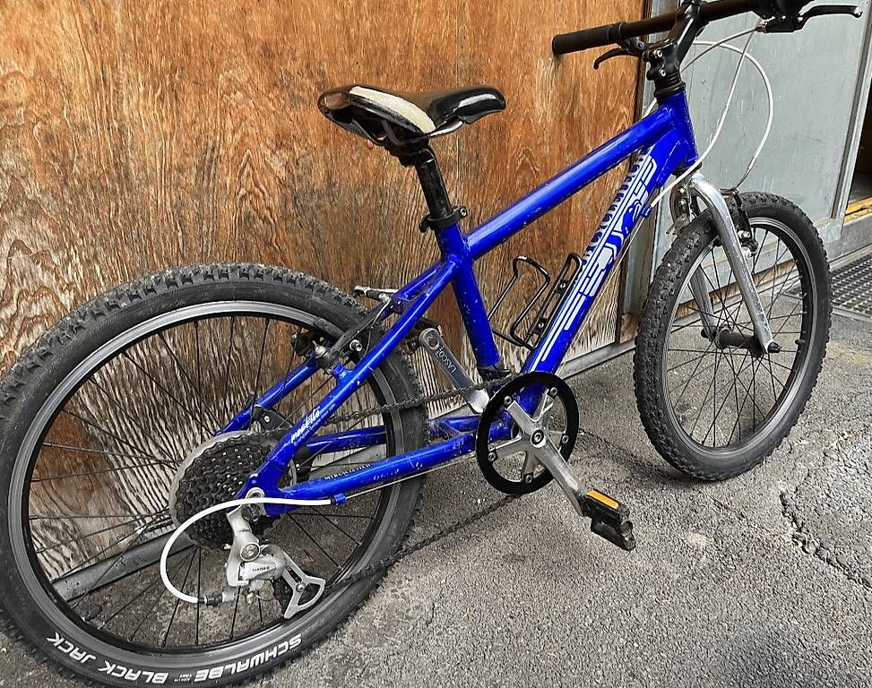 MTB Cycletech Velos: Kindervelo MTB Cycletech Moskito, 20"-Räder – Gebraucht aus Bern von Achkrach 2