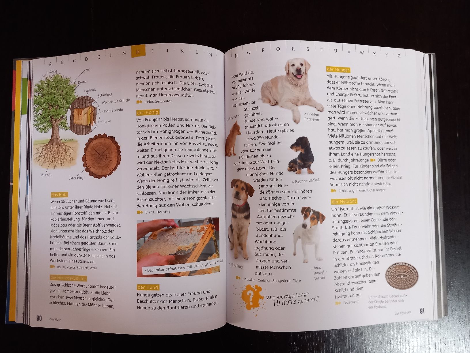 Libri: Grundschul Lexikon von Ravensburger – Nuovo (secondo la descrizione) da Dietwil venduto da talulla 2