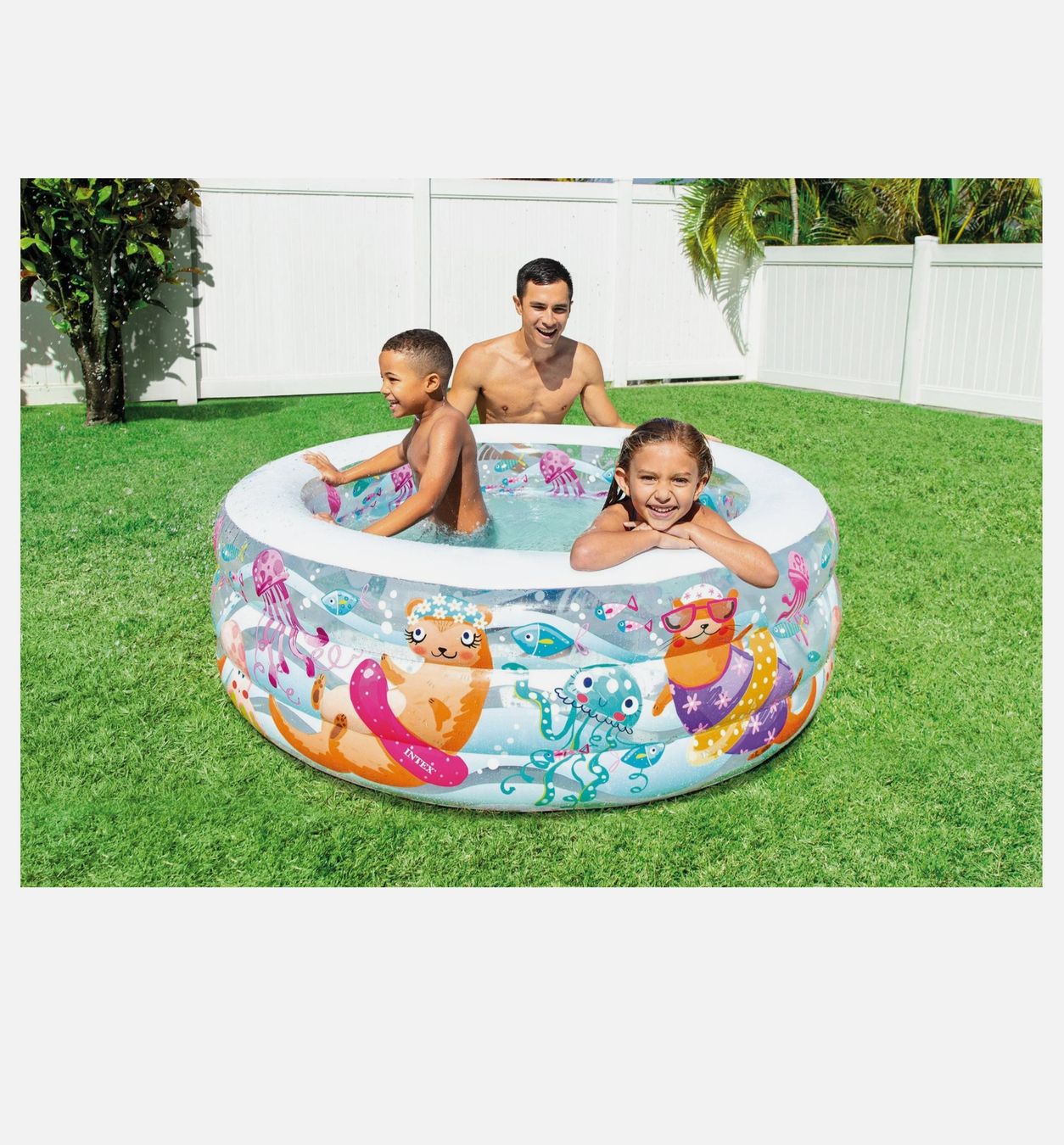 Intex Piscine: Intex Aquarium Planschbecken – Nuovo e nell'imballaggio originale da Winterthur venduto da Pcline1