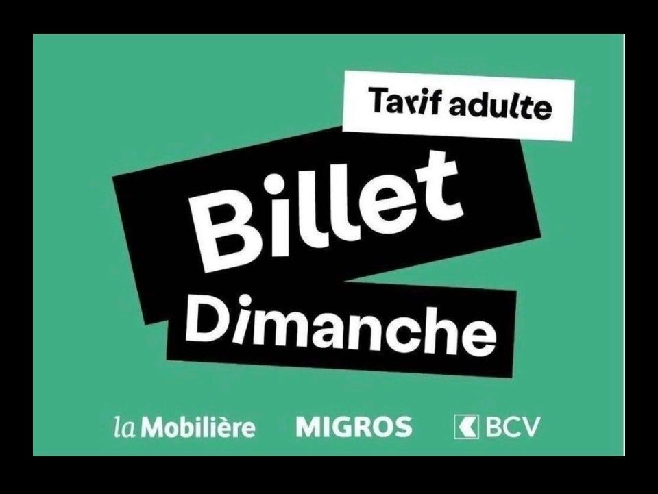 Billets: Paleo Dimanche 26.07 - Adulte – Neuf (Voir description) à versoix par Aess