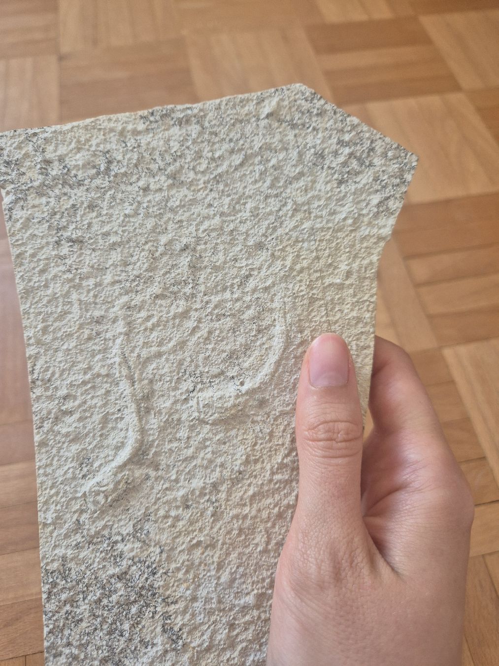 Fossiles: Fossil Fische  – D'occasion à Erlenbach ZH par Marielou222 3
