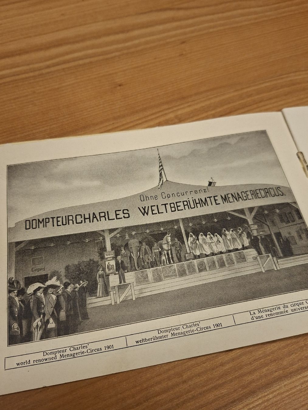 Documenti: Prospekt Cirkus Krone früher Charles 1901 – Usato da Ganterschwil venduto da HeidiuPeter 4