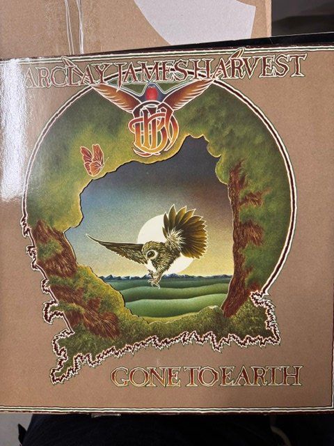 Dischi in vinile: Vinyl Langspielplatte – Usato da Sissach venduto da rol_w8lr