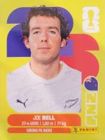 Panini FIFA World Cup NZL 10