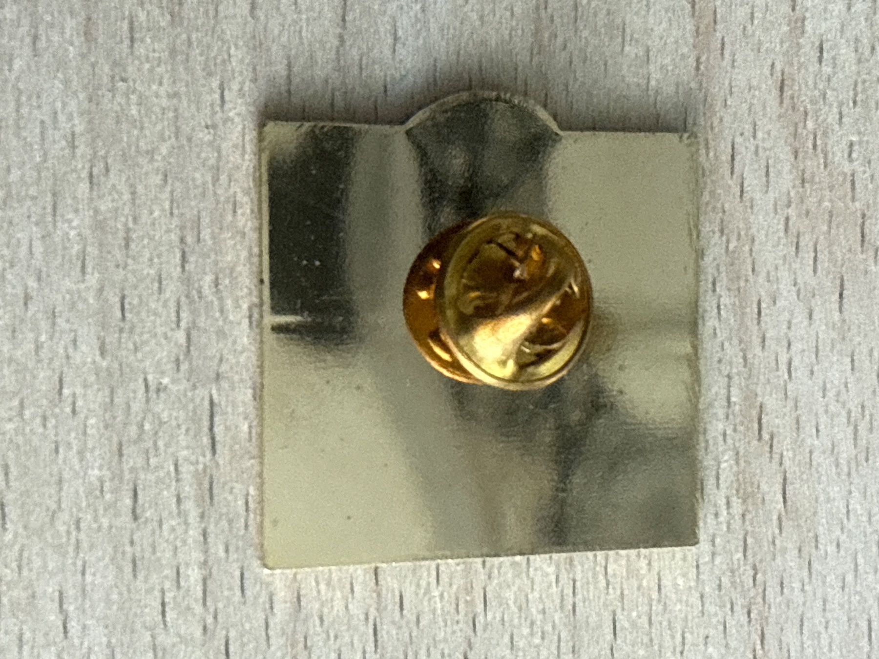 Plaquettes & Badges: Pin Aqualine - folex – D'occasion à Glattbrugg par Schweigmatt 1