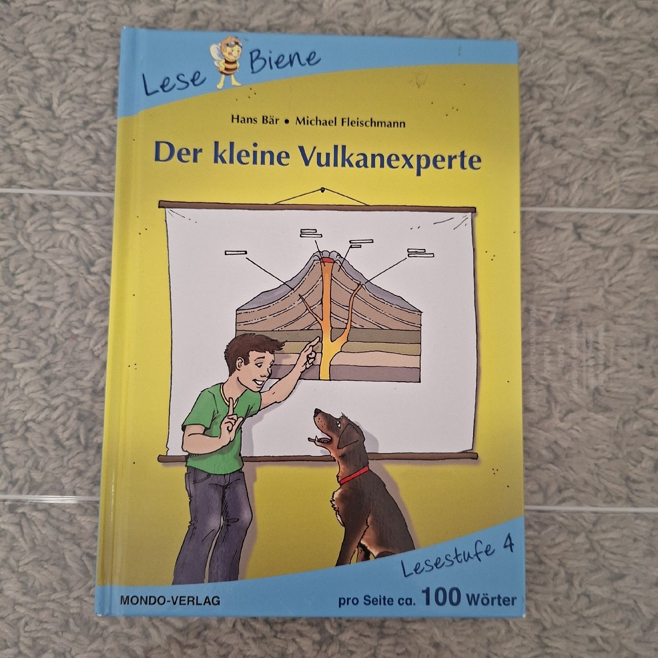 Livres: LeseBiene Der kleine Vulkanexperte Lesestufe 4 – D'occasion à Niederbuchsiten par Cheasily