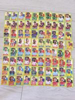 FIFA world Cup wc 2026 paninis 80 Sammelkarten