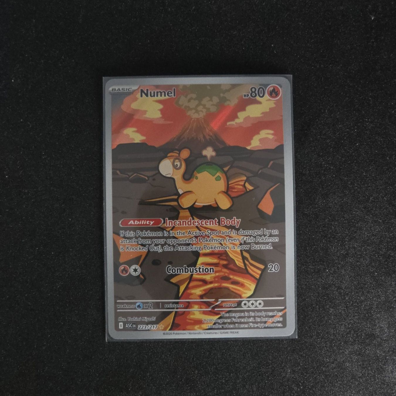 Pokémon Sammelbilder & Trading cards: Numel (ASC 223) – Gebraucht aus St. Gallen von CardZelo