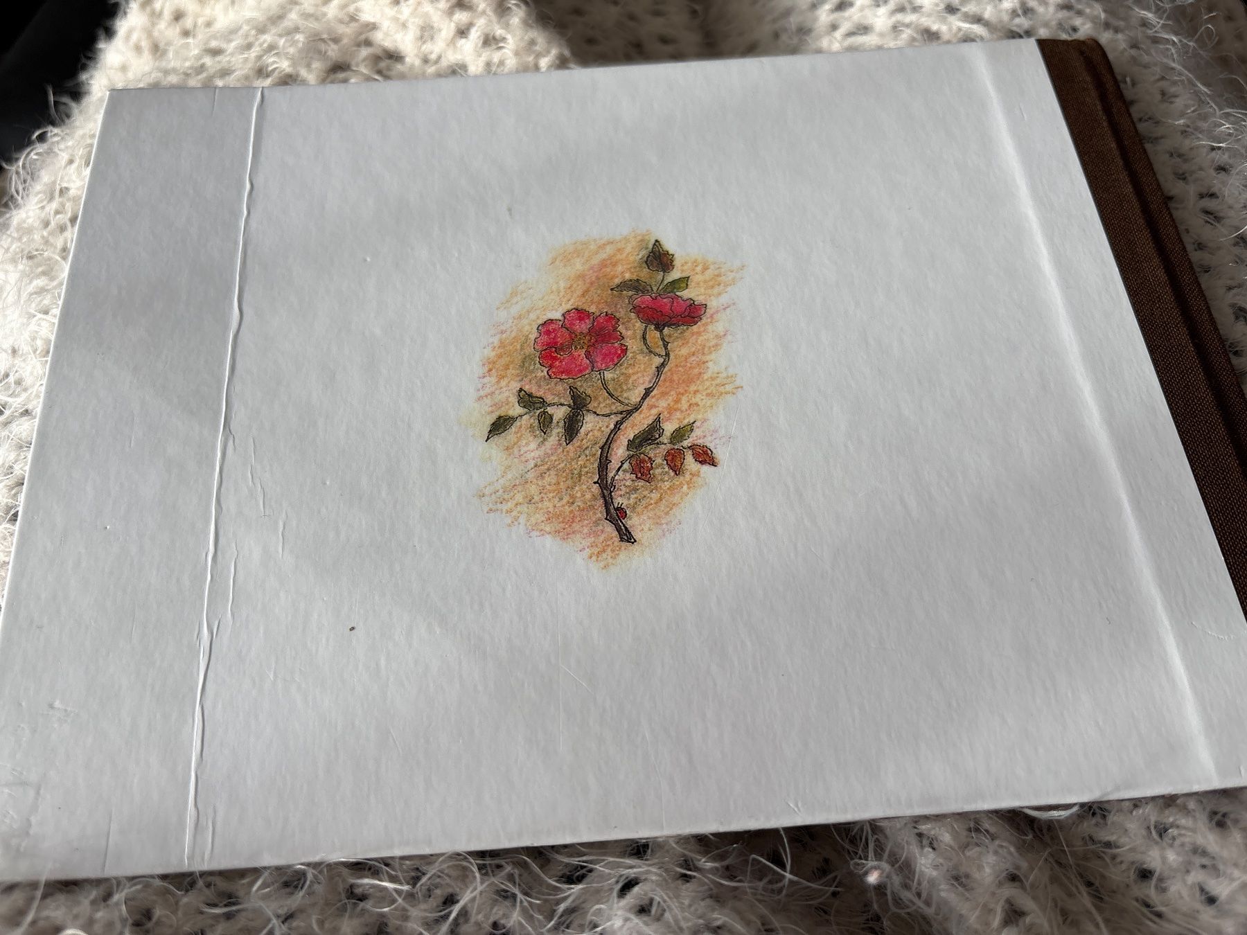 Libri: Brüder Grimm: Schneeweisschen und Rosenrot – Usato da Beromünster venduto da msklef 3
