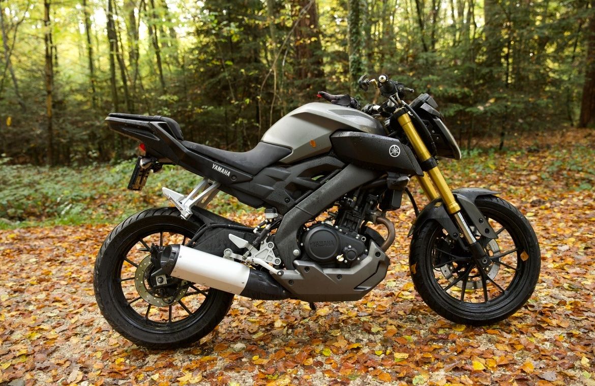 Yamaha Route: Yamaha MT-125, 2016 mit ABS – D'occasion à Rodersdorf par eil_5d7n 2
