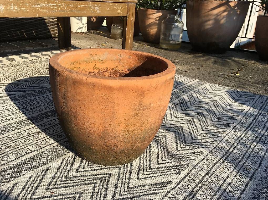 Pots de fleurs: Diverse Terracotta-Töpfe – D'occasion à Zürich par BuenosAires03 3