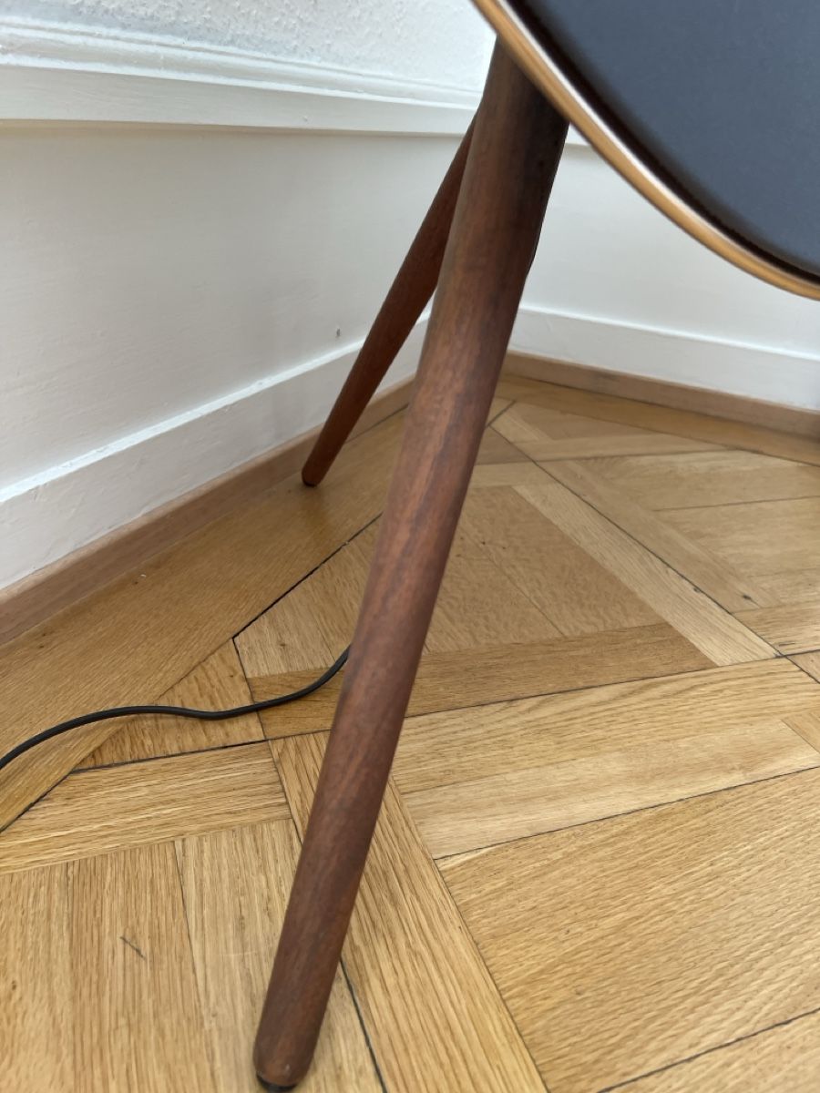 Bang & Olufsen Casse acustiche: Bang Olufson Beosound A9 – Usato da Genève venduto da tan_h6b8 2