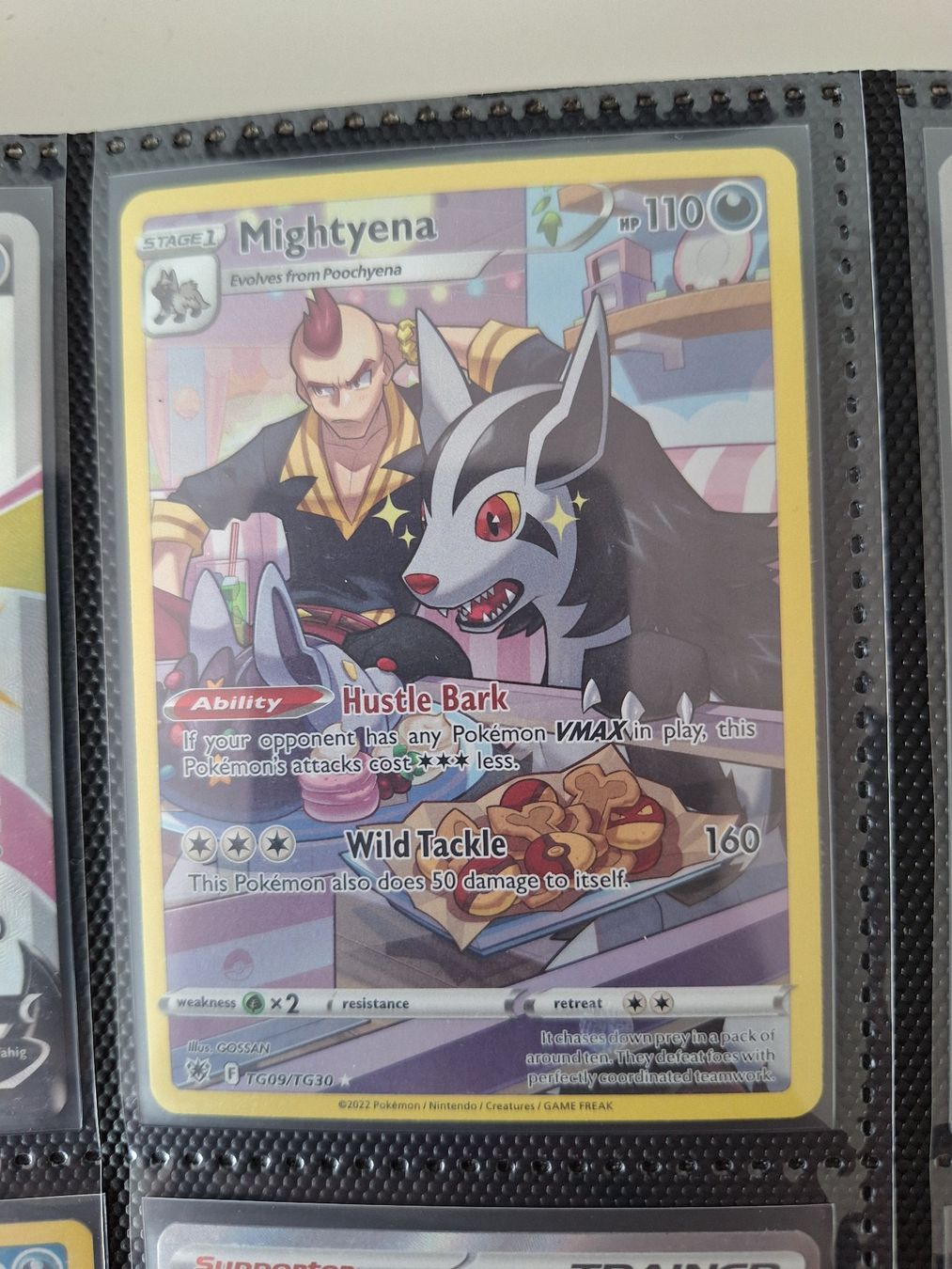 Pokémon Carte collezionabili: Mightyena Trainer Gallery – Usato da Altstätten SG venduto da GGsGameshop