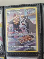 Mightyena Trainer Gallery
