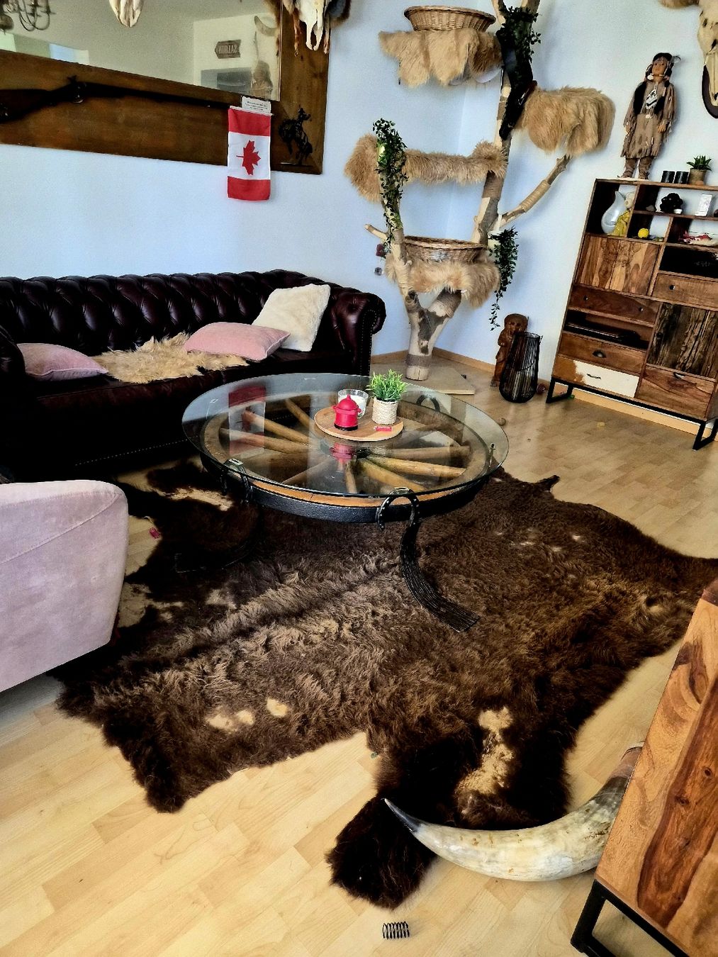 Tappeti: Echtes kanadisches Bisonfell – Usato da Dietikon venduto da Wutho 1