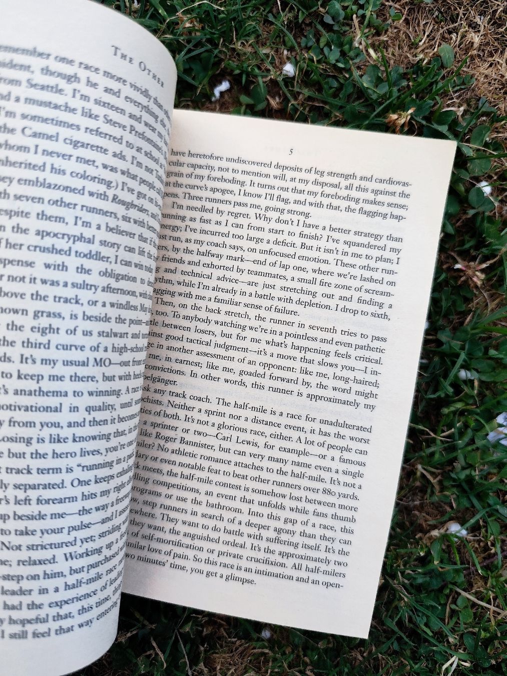 Libri: David Guterson The Other Novel Paperback – Usato da Mägenwil venduto da VintageGirly 4