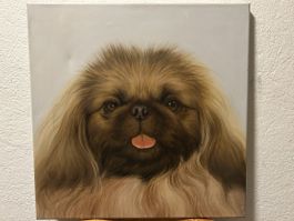 Hund Gemälde, Pekingese, auf Keilrahmen, Grösse 50 x 50 cm