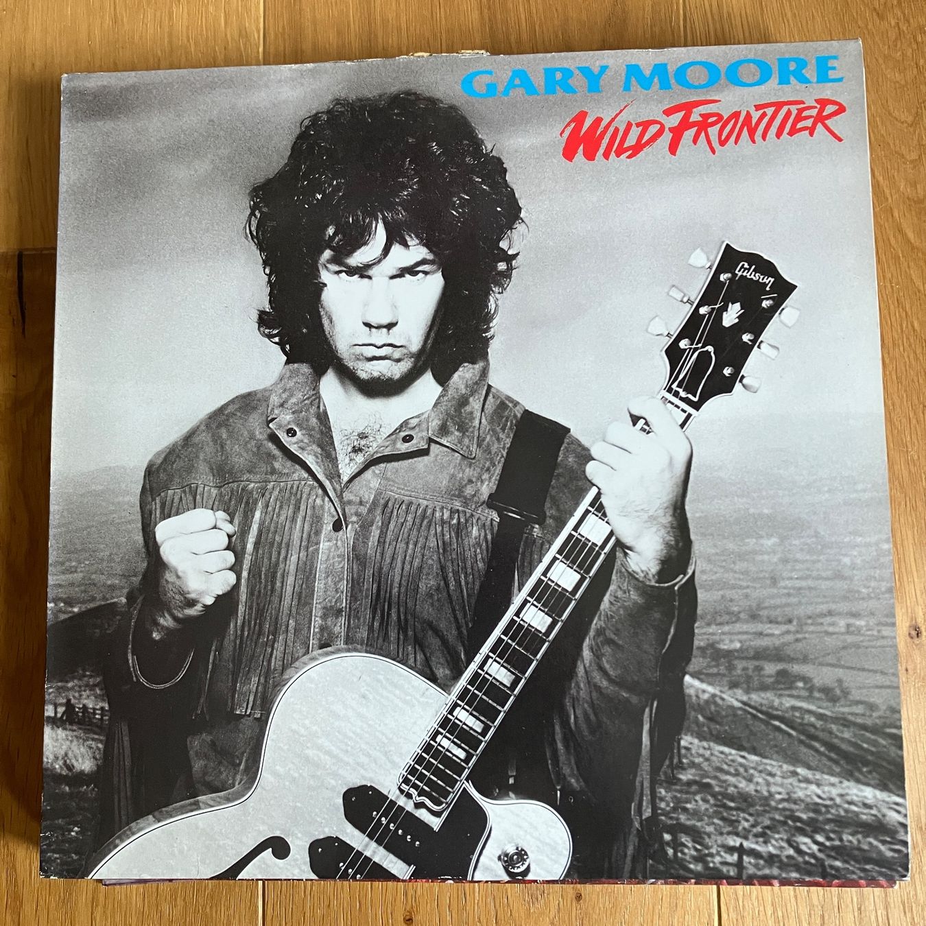 Dischi in vinile: Gary Moore – Wild Frontier – Usato da Altdorf UR venduto da Metallic0