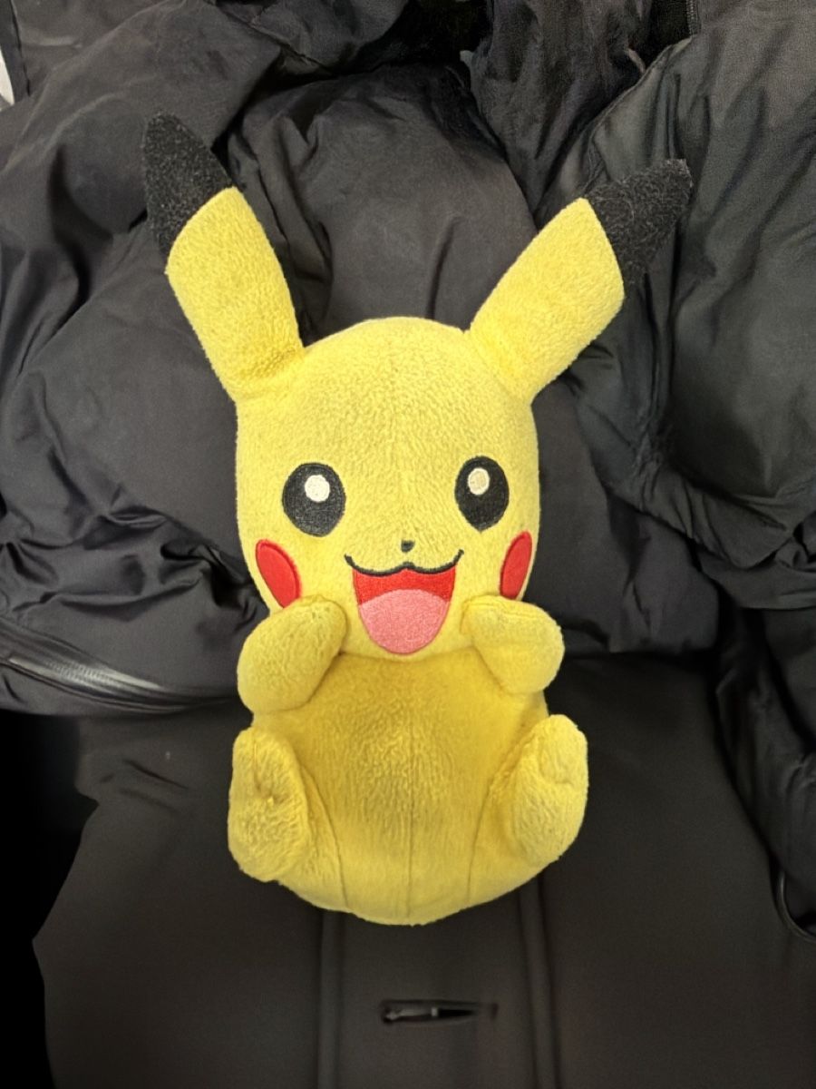 Pokémon Spielzeuge: Pikachu Stofftier  – Gebraucht aus Zürich von osw_82xn