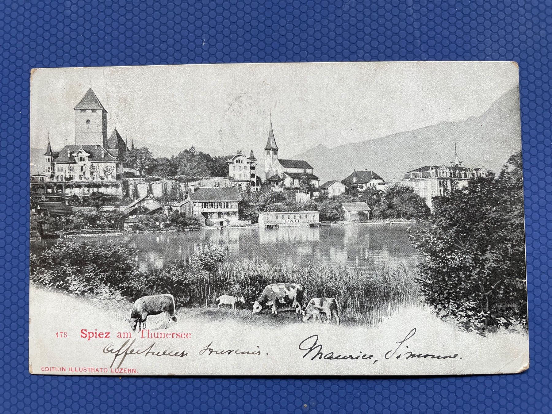 Cartoline postali: Spiez am Thunersee 1905 – Usato da Faido venduto da Luca555