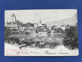 Spiez am Thunersee 1905