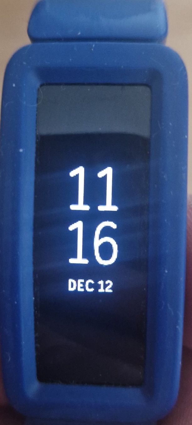 Fitbit Smartwatch: Fitbit kids ace 2 – Usato da Lotzwil venduto da DonGavallo 3