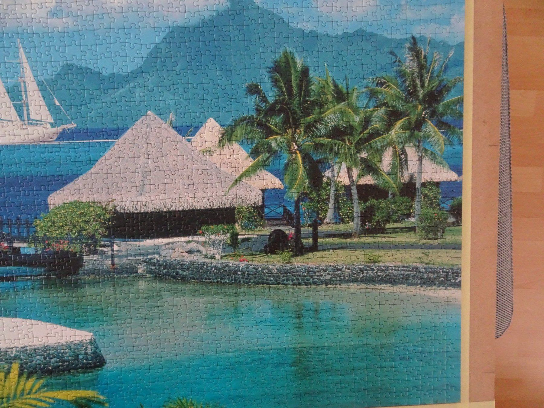 Ravensburger Puzzles: Ravensburger Puzzle 2000er – Gebraucht aus Auw von Theohu 5