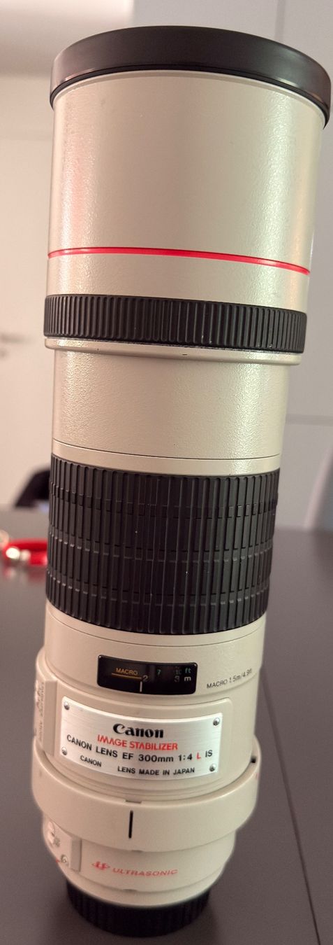Canon Obiettivi: Canon 300m 4L – Usato da Saillon venduto da saillon81 5