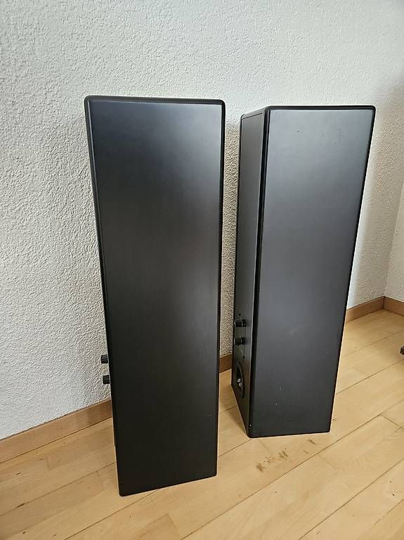 Casse acustiche: PIEGA LDR 3.0  Schweizer High-End Lautsprecher – Usato da Fällanden venduto da althausb 1