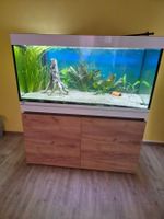 Dringend Eheim Incpiria 430 inkl Inhalt, Zubehör und Fischen