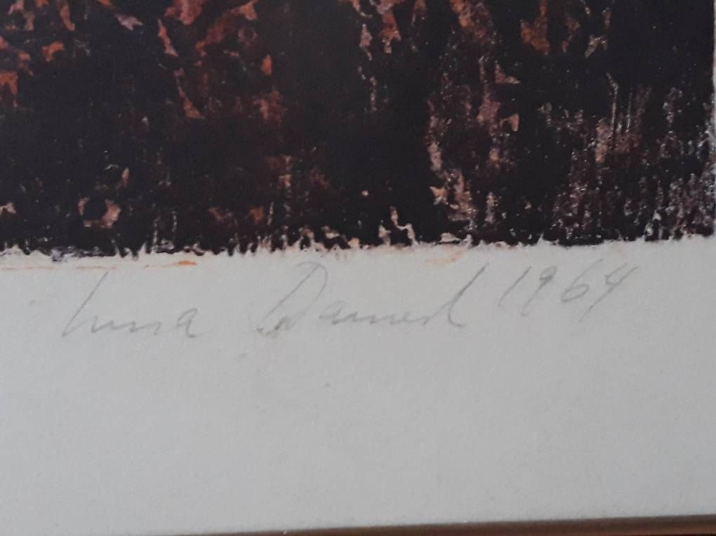 Arts picturaux & lithographies: Lithografie Bild – D'occasion à Kesswil par Branca-01 3