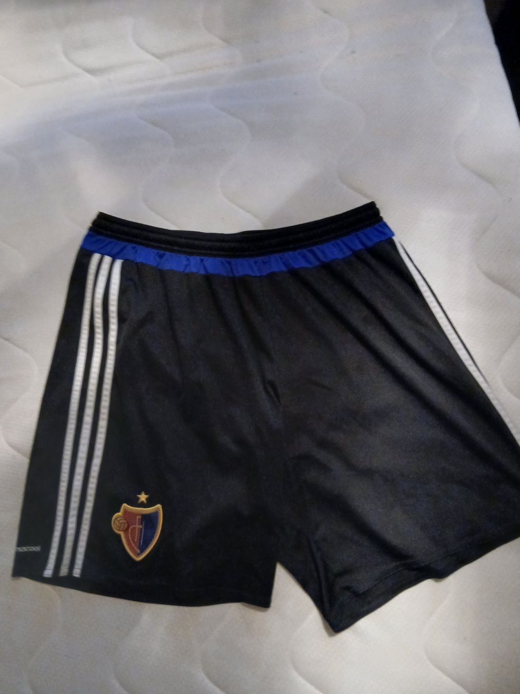 Adidas Hosen: FC BASEL Shorts – Gebraucht aus Oberglatt ZH von Sandro0124