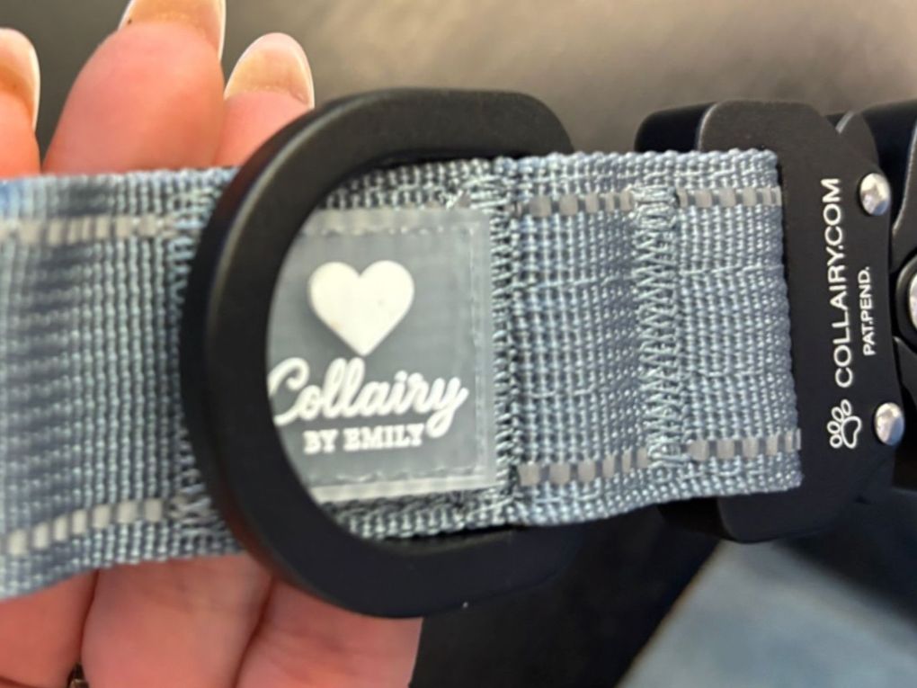Leine & Halsband: Hundehalsband Grösse L – Neu und originalverpackt aus Geroldswil von tad_7wt2 3
