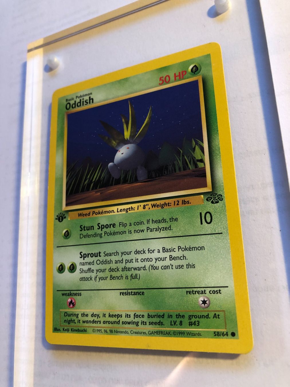 Sammelbilder & Trading cards: Oddish 1st Jungle - LP/NM - ab 1.- – Gebraucht aus Giubiasco von dan_pr8b 2