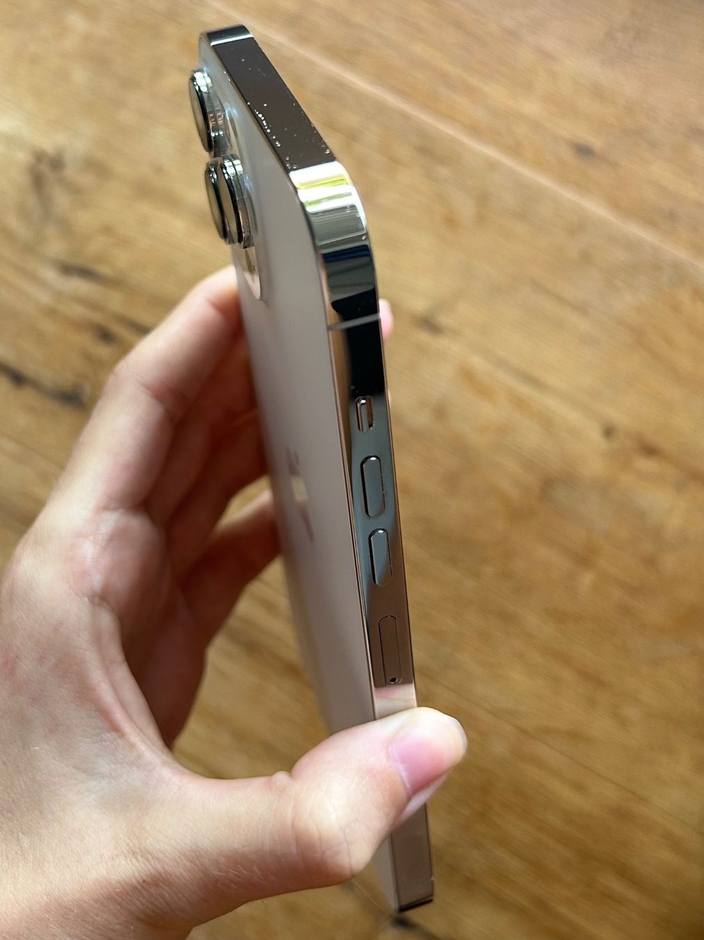 Apple Portables: iPhone 13 Pro Max silber 265GB – D'occasion à Amden par pia_q2m5 2