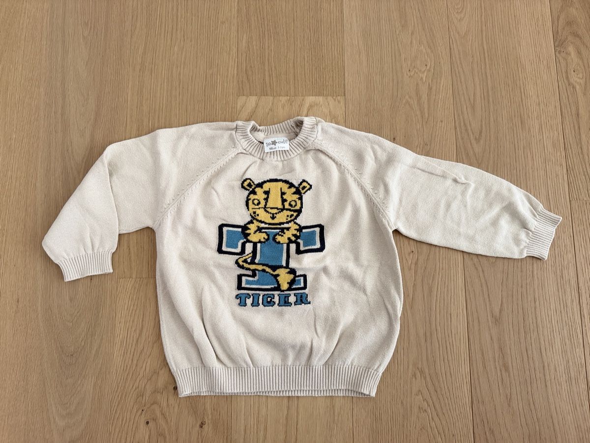 Pulls et sweat-shirts: Pullover Gr. 98 – D'occasion à Rain par Heike5284